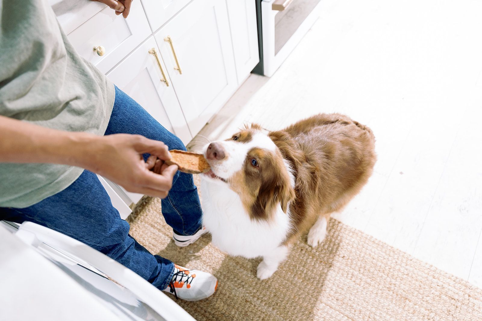 A dog being fed a Sweet Potato Chew by its owner